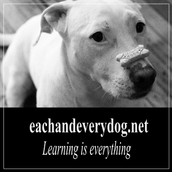 each and every dog featured image